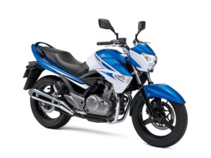 The Suzuki Inazuma GW250 Full Specs,Features,Performance and Prices